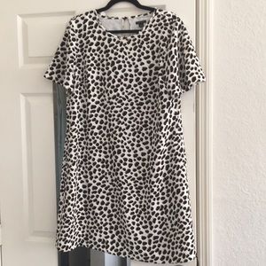 Cheetah Dot Shift Dress with pockets